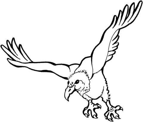 Flying Vulture Coloring Page